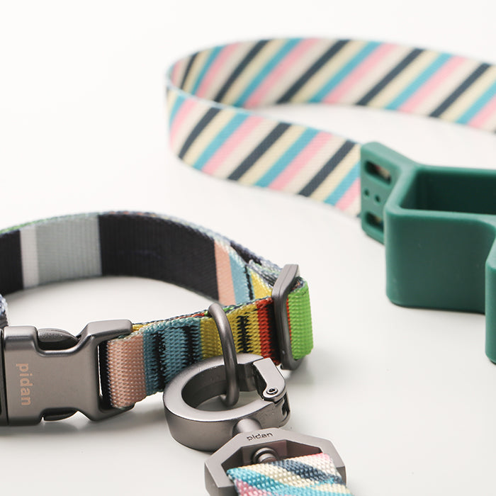 Pidan Collar Para Perro Resistente Y Ajustable