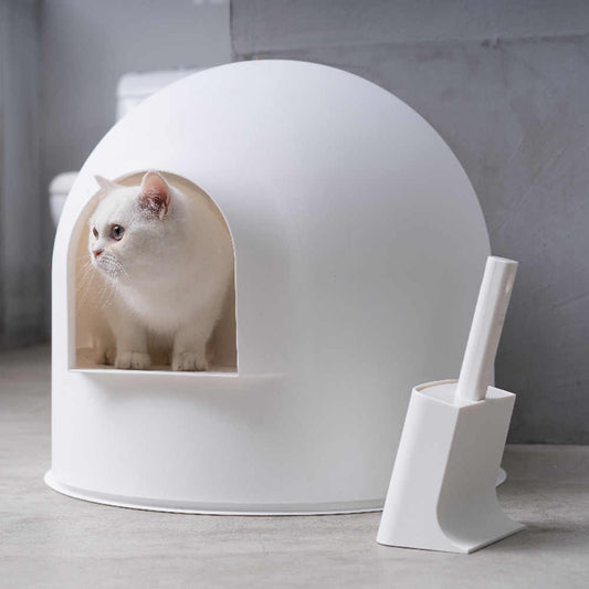 Pidan Pala Arena Gato Con Base Blanca Moderna Higiénica