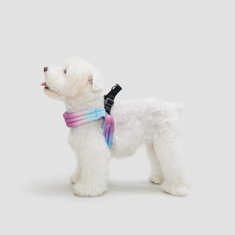 Pidan® Arnés Para Mascotas Pet - Pequeño