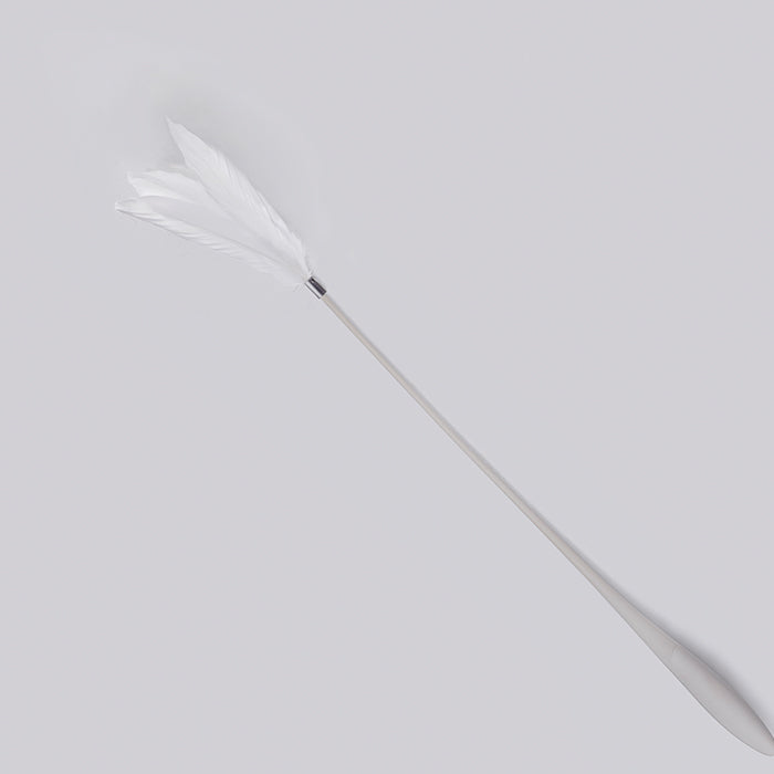 Pidan® Juguete Interactivo Varita Extensible Para Gato