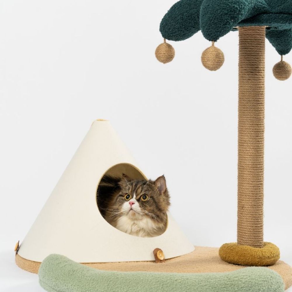 Pidan - Cama y Rascador para Gatos - Isla Felina