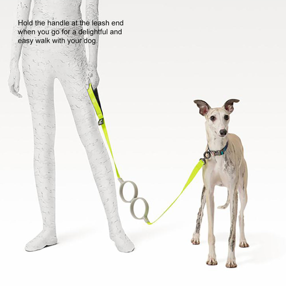 Pidan Correa Extensible para Perros Bloque Circular 3m/5m