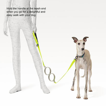 Pidan Correa Extensible para Perros Bloque Circular 3m/5m