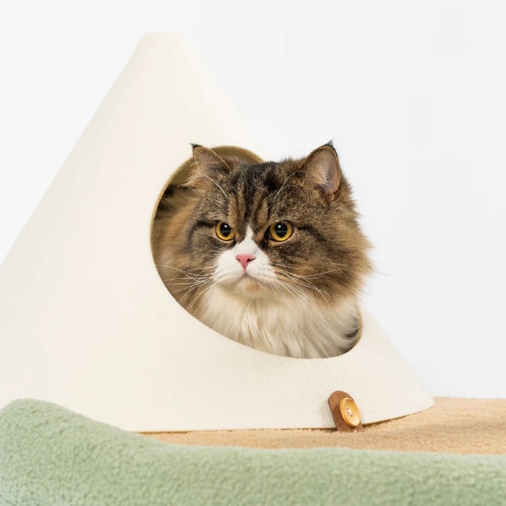 Pidan - Cama y Rascador para Gatos - Isla Felina