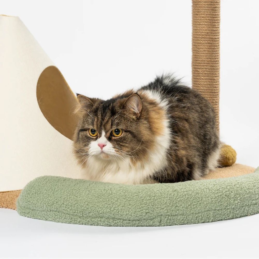 Pidan - Cama y Rascador para Gatos - Isla Felina
