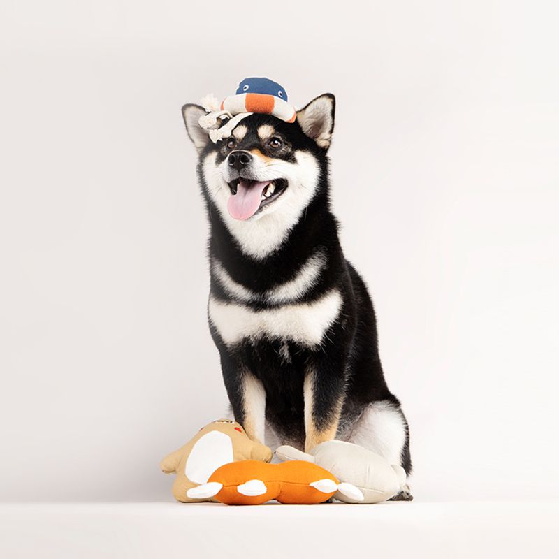Pidan® Pet Plush Toy – Squeaker Monster Fábrica Estrella