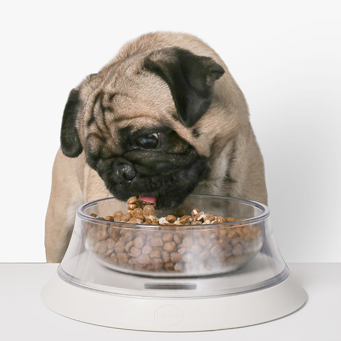 Pidan® Bowl Volcán Con Balanza Digital Para Mascotas - imagen 5