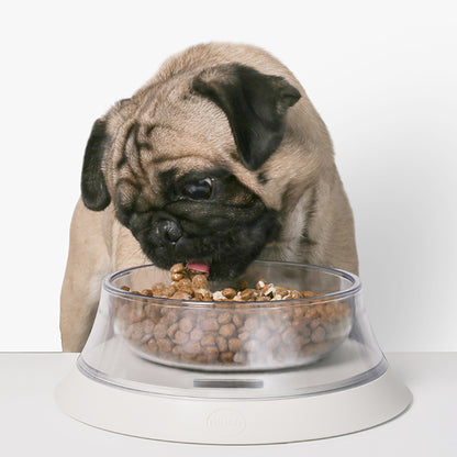 Pidan® Bowl Volcán Con Balanza Digital Para Mascotas - imagen 5