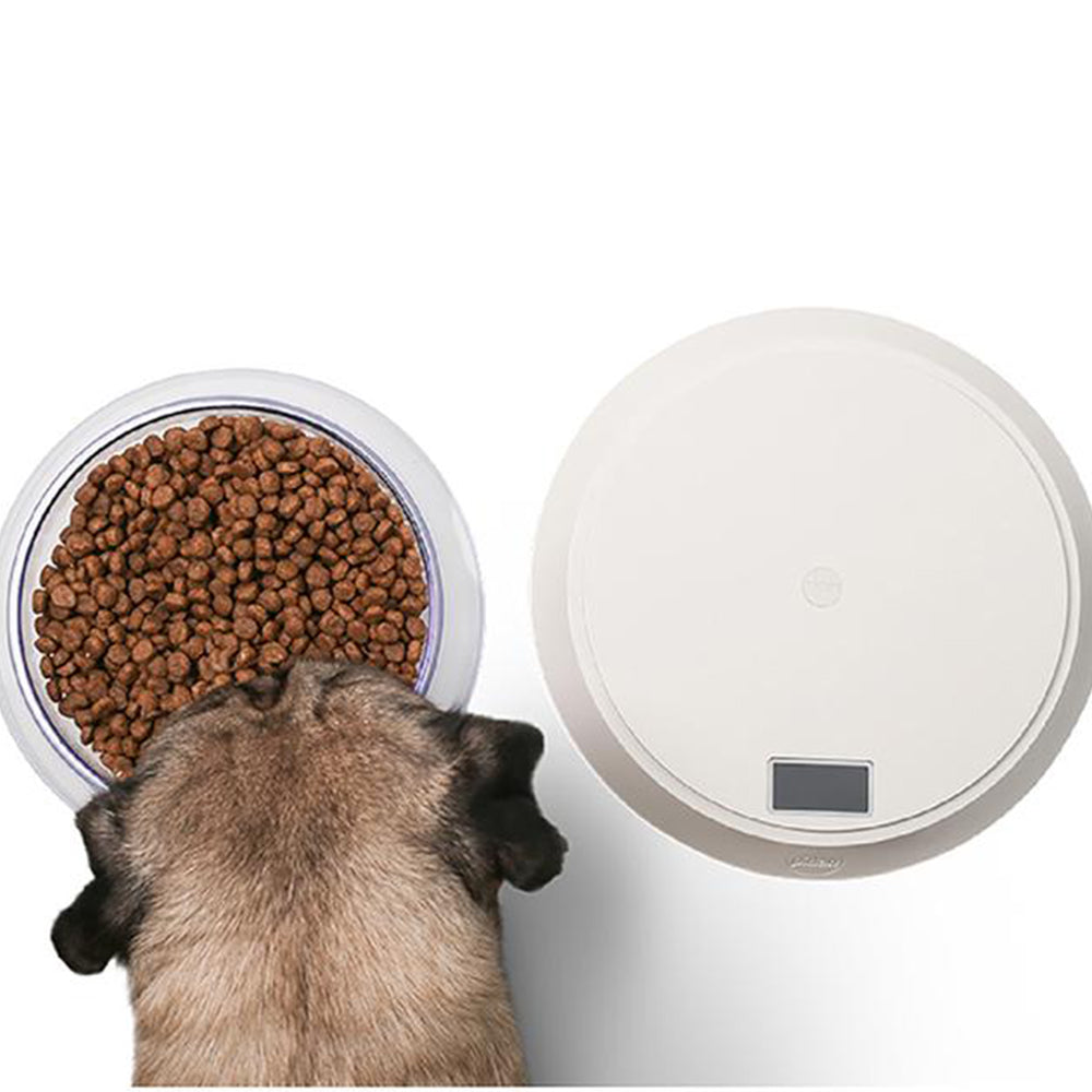 Pidan® Bowl Volcán Con Balanza Digital Para Mascotas - imagen 4