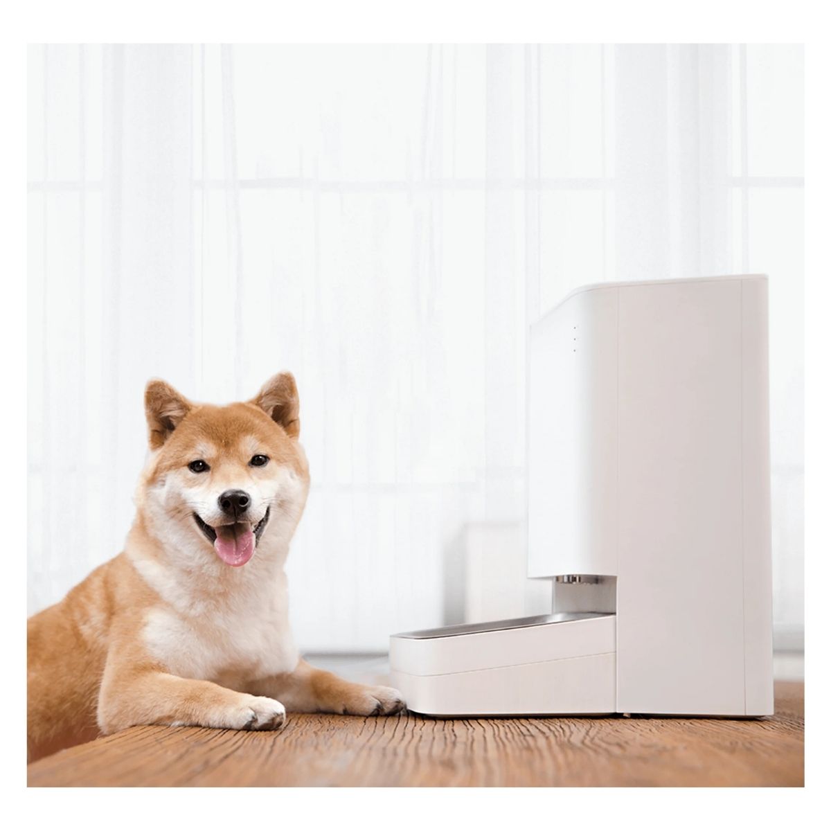 Xiaomi Comedero Smart Pet Food Feeder 3.6L APP MI HOME - imagen 5
