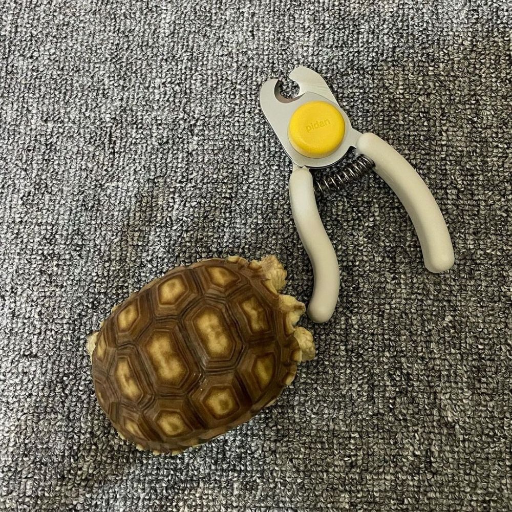 Pidan® Cortauñas Mascotas con Luz LED y Recolector Higiénico - imagen 8