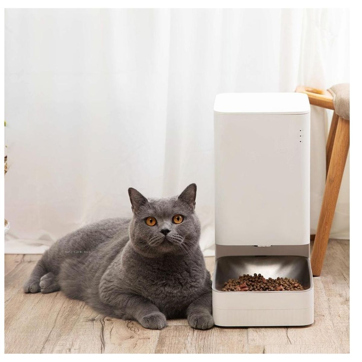 Xiaomi Comedero Smart Pet Food Feeder 3.6L APP MI HOME - imagen 7