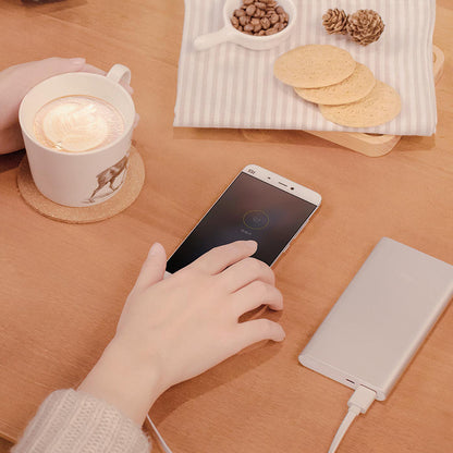Xiaomi Batería Externa Portátil Mi Power Bank 10000 Mah 2s-plateado - imagen 6