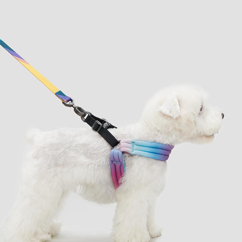 Pidan® Arnés Para Mascotas Pet - Pequeño