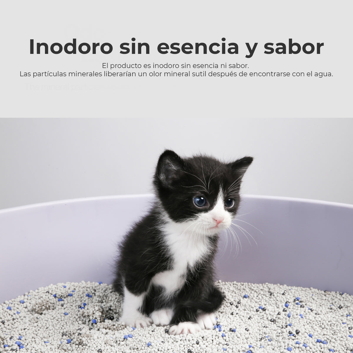 Pidan® Arena Para Gatos Premium Bentonita 6 Kg Aglutinante - imagen 8