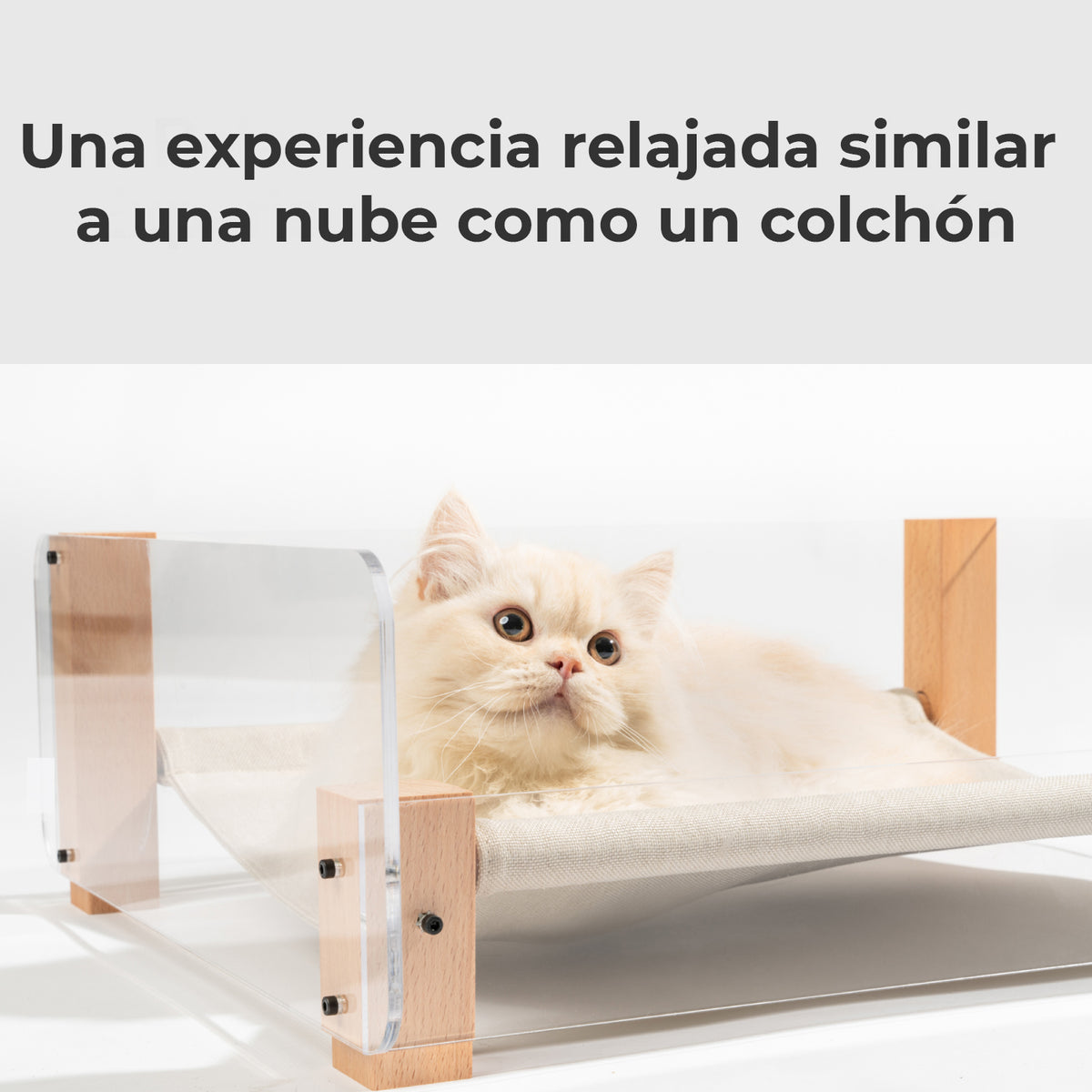 Pidan® Cama Moderna Mascotas Con Rascador