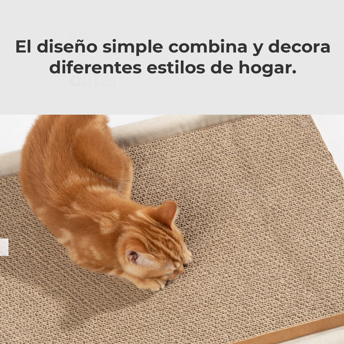 Pidan® Cama Moderna Mascotas Con Rascador