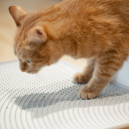 Pidan® Alfombra Para Arena De Gato Antideslizante Silicona - imagen 4