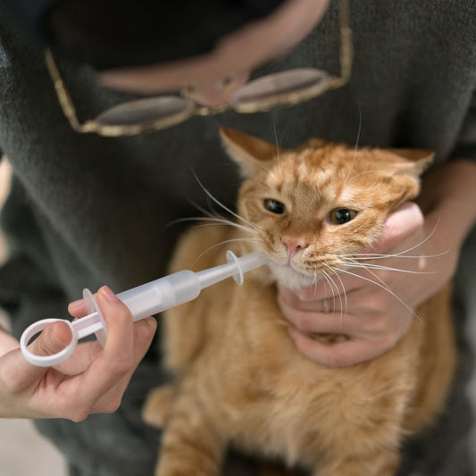Pidan® Jeringa Medicación Oral Mascotas Perros Gatos Bebé
