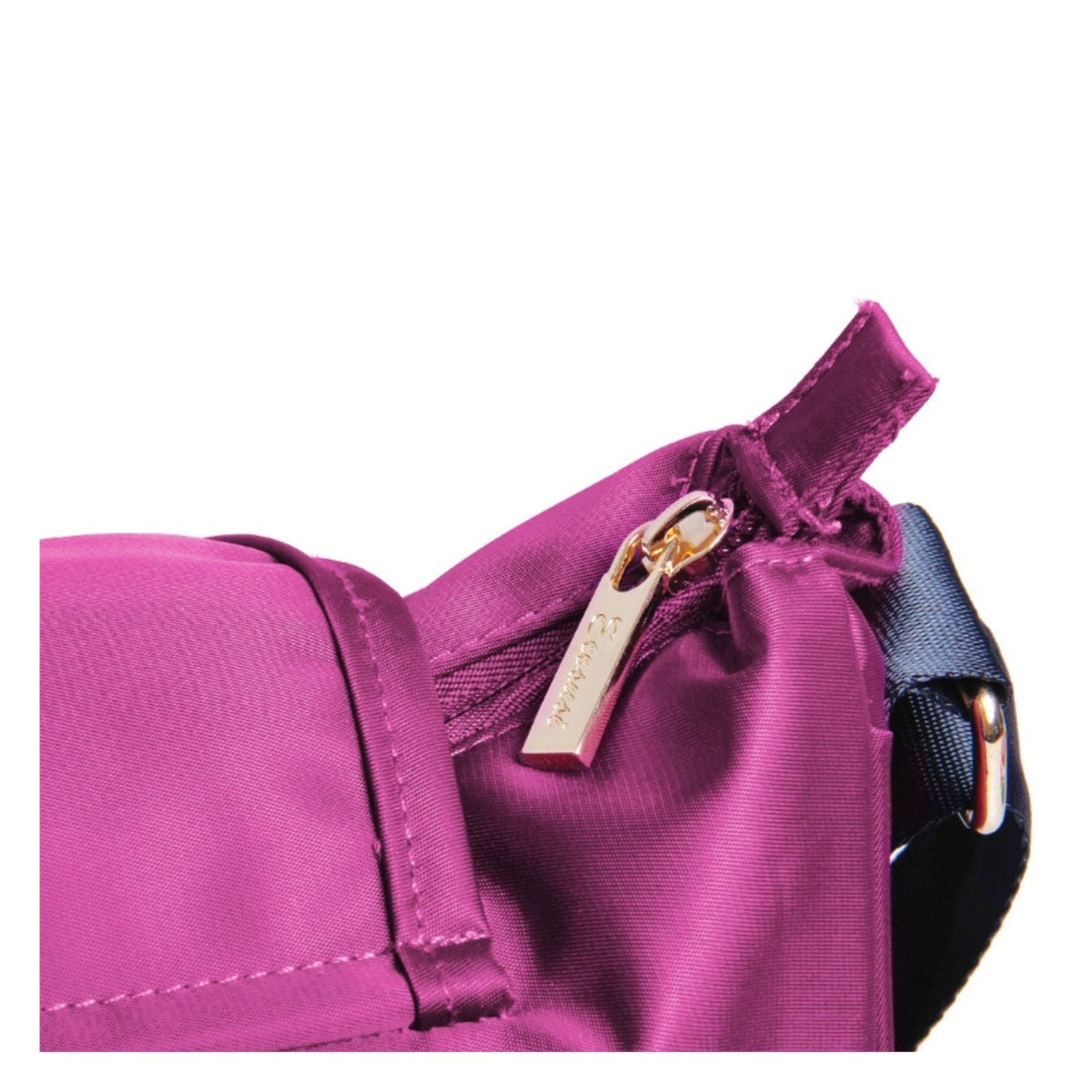 #color_fucsia