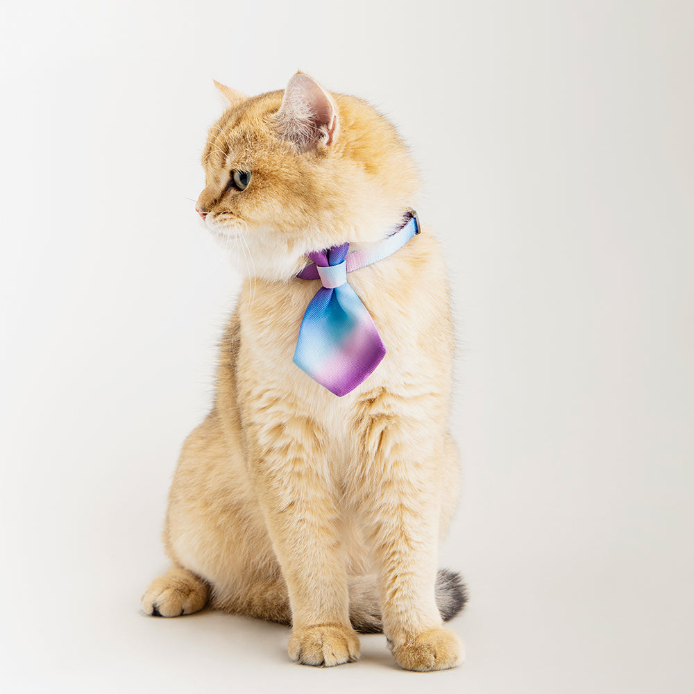 Pidan® Cuello Corbata Elegante Para Gato
