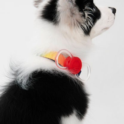 Pidan Luz Seguridad Para Perros Y Gatos - Led Recargable