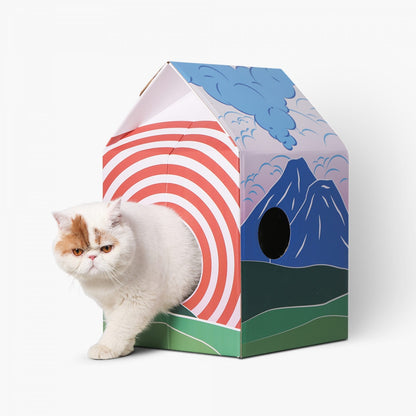 Pidan® Rascador Para Gato Durable Y Divertido Antideslizante - imagen 4