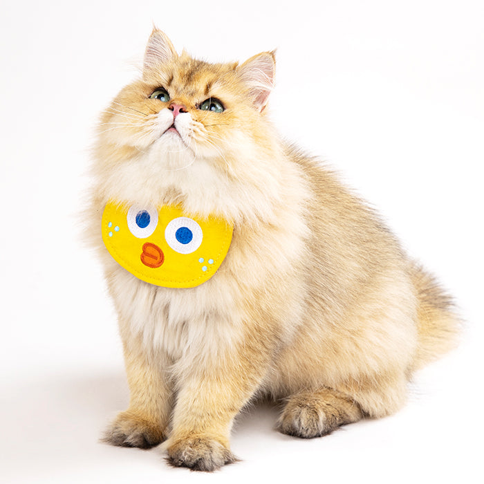 #color_amarillo