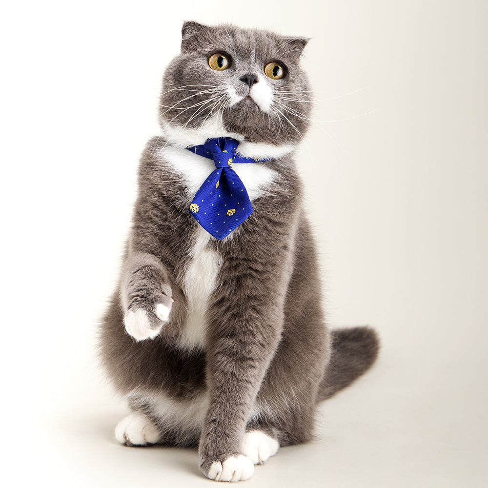 Pidan® Cuello Corbata Elegante Para Gato