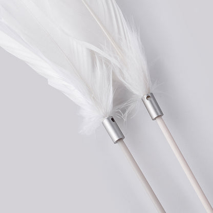 Pidan® Juguete Interactivo Varita Extensible Para Gato