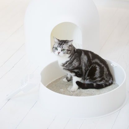 Pidan® Arena Para Gatos Premium Bentonita 6 Kg Aglutinante - imagen 10