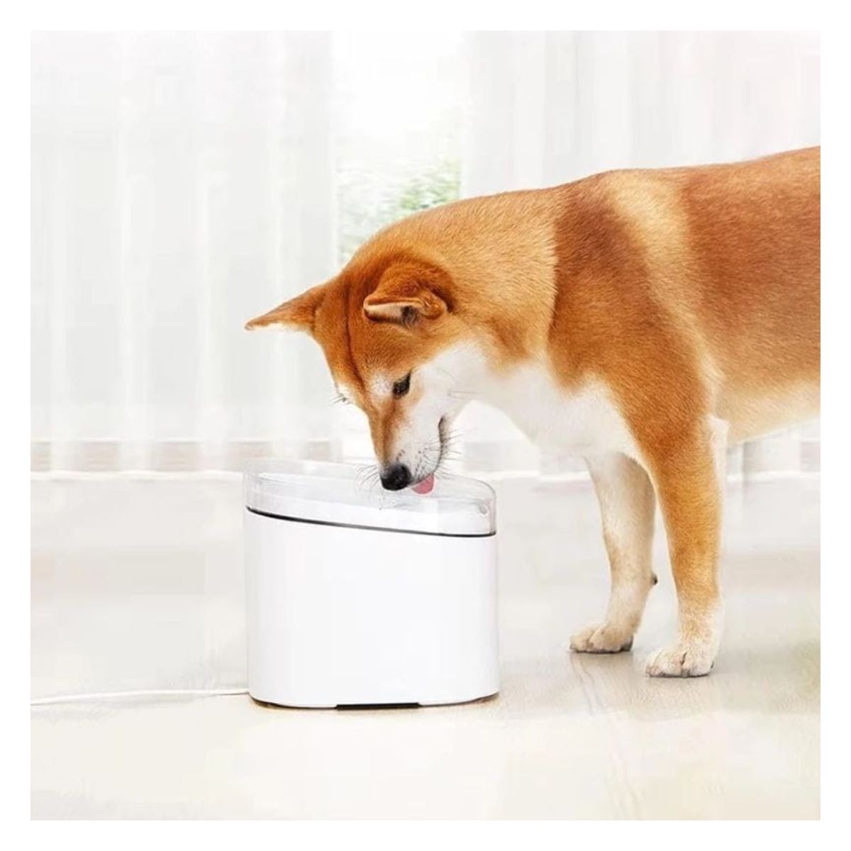 Xiaomi Smart Pet Fountain Bebedero Inteligente para Mascotas - imagen 6