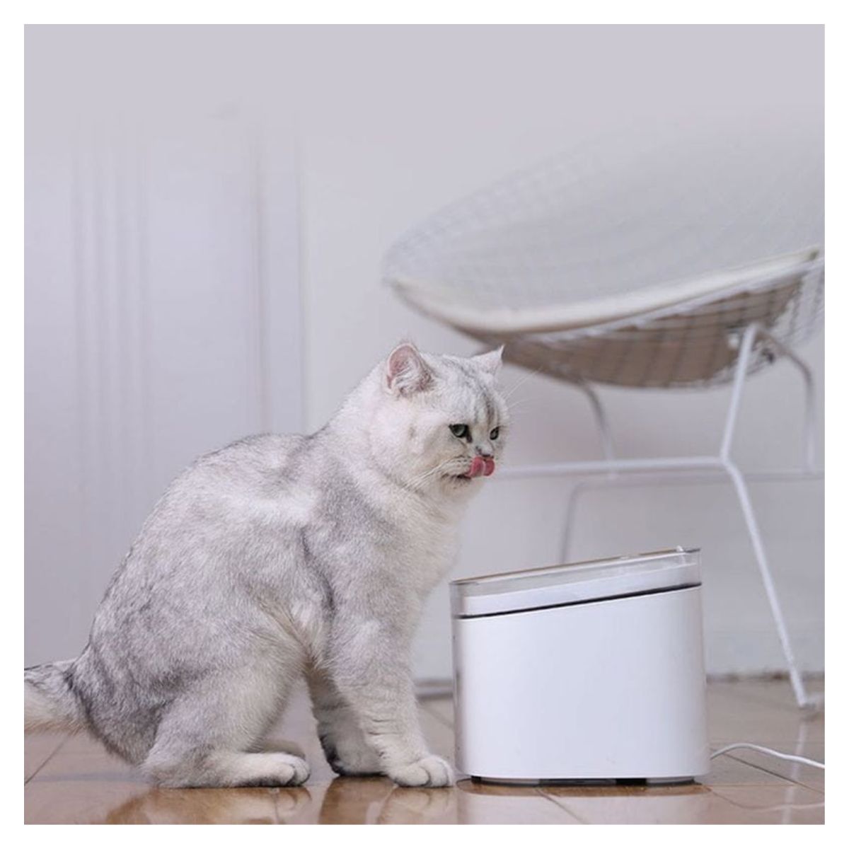 Xiaomi Smart Pet Fountain Bebedero Inteligente para Mascotas - imagen 8