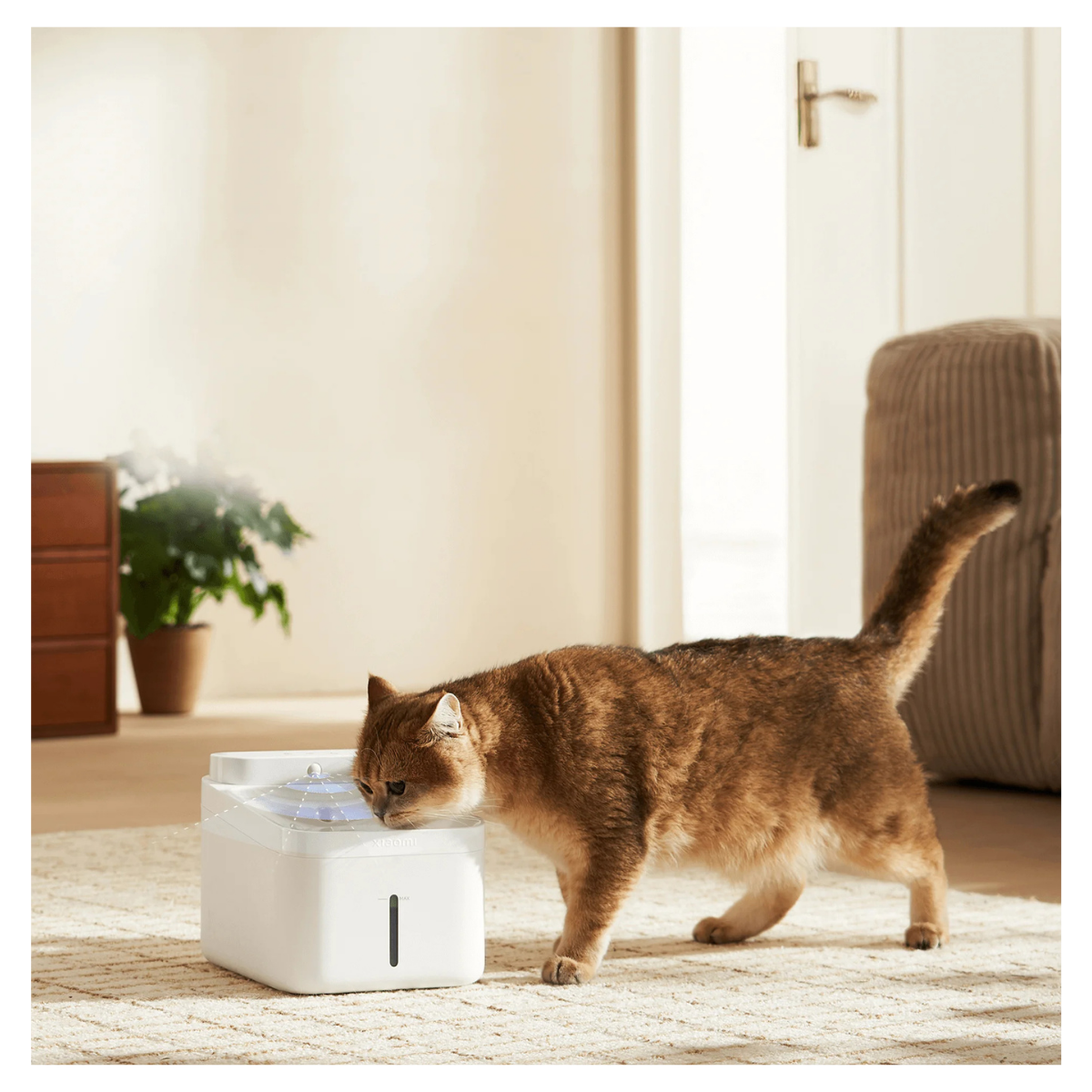 Xiaomi Bebedero para Mascotas 3L Smart Pet Fountain 2