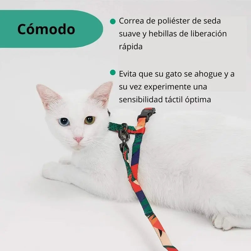 #color_naranja