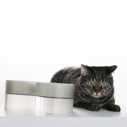 Pidan® Bowl Para Mascotas Tamaño S Verde Acero Inoxidable - imagen 5
