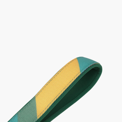 Pidan Correa Extensible para Perros Bloque Circular 3m/5m